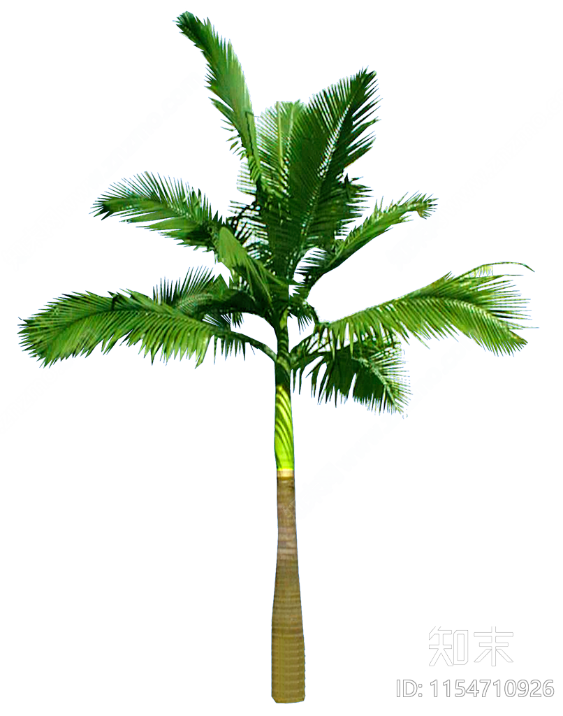 png免抠假槟榔下载【ID:1154710926】