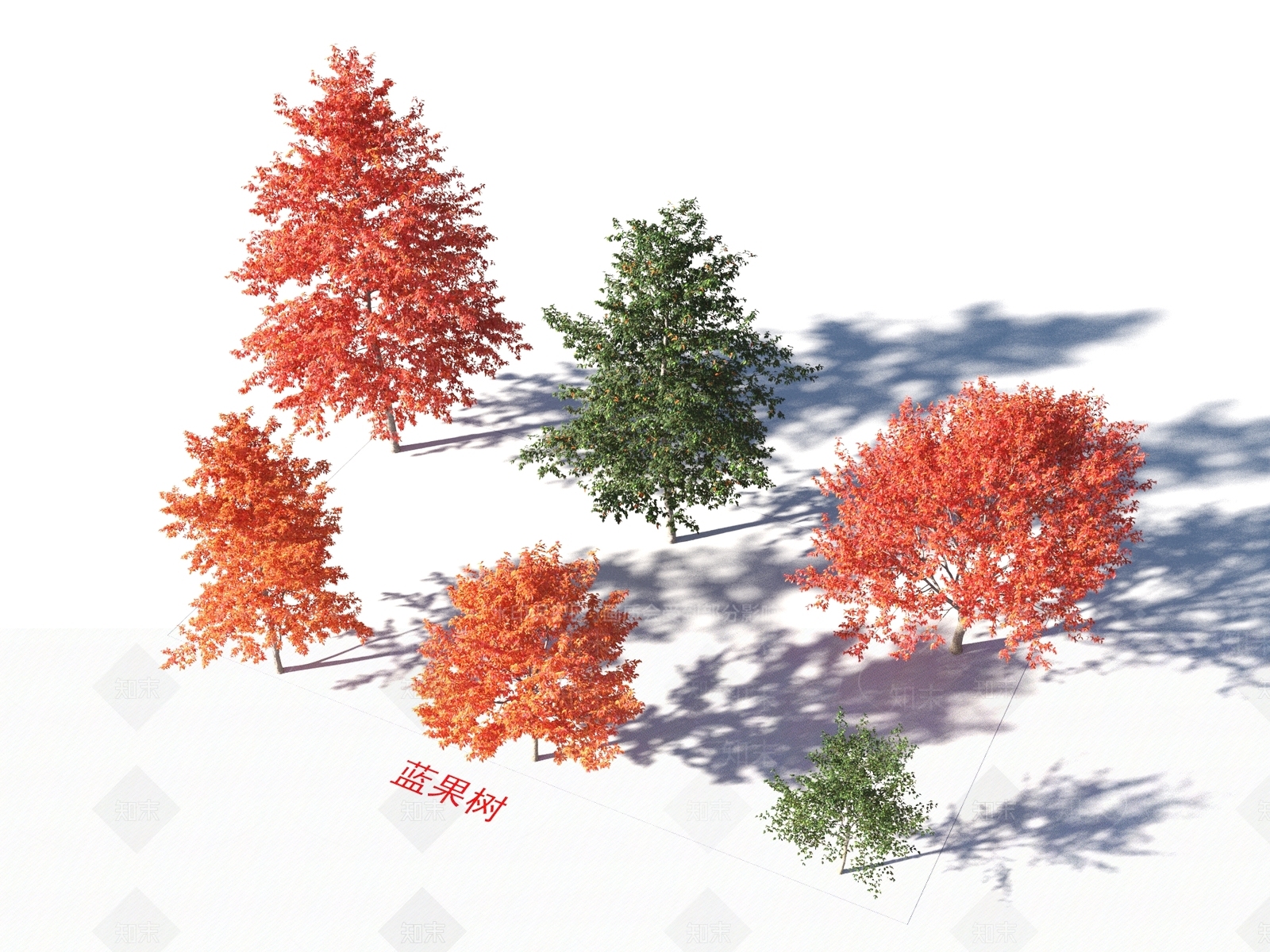 蓝果树3D模型下载【ID:1154740576】