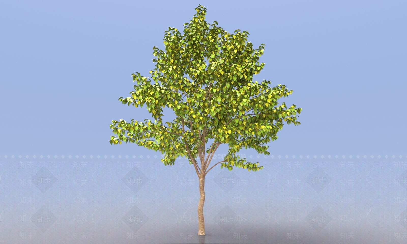 乔木3D模型下载【ID:1154757481】