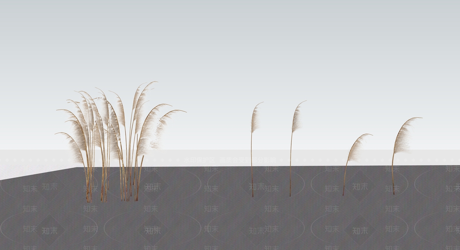 2D干芦苇SU模型下载【ID:1154843065】