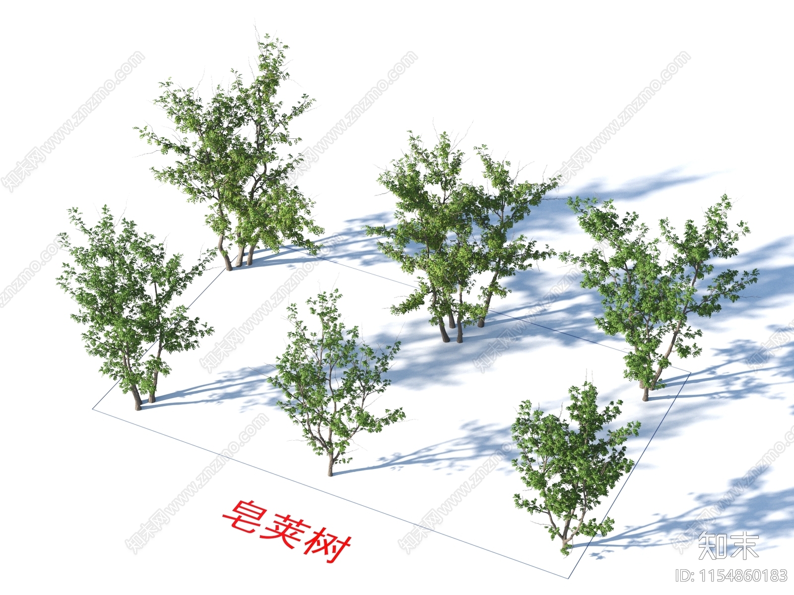 皂荚树3D模型下载【ID:1154860183】