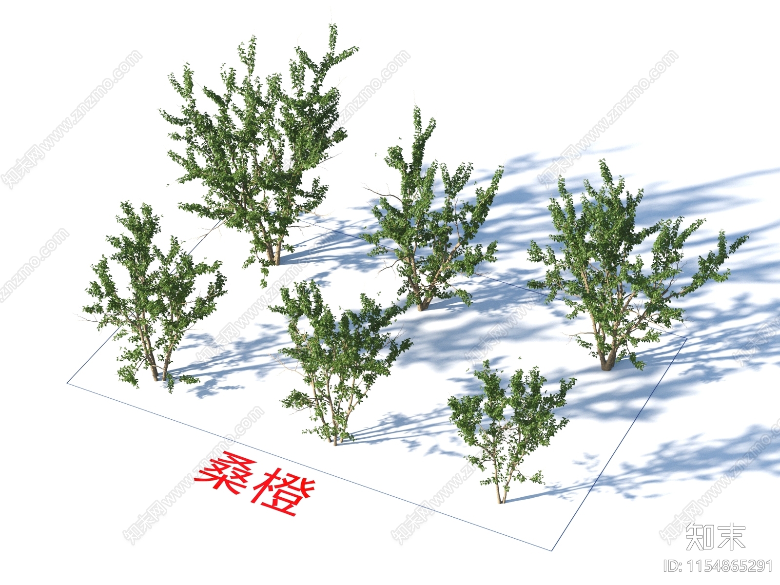 桑橙3D模型下载【ID:1154865291】