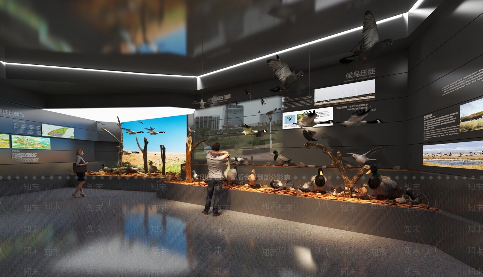 现代生态展示厅3D模型下载【ID:1154953866】