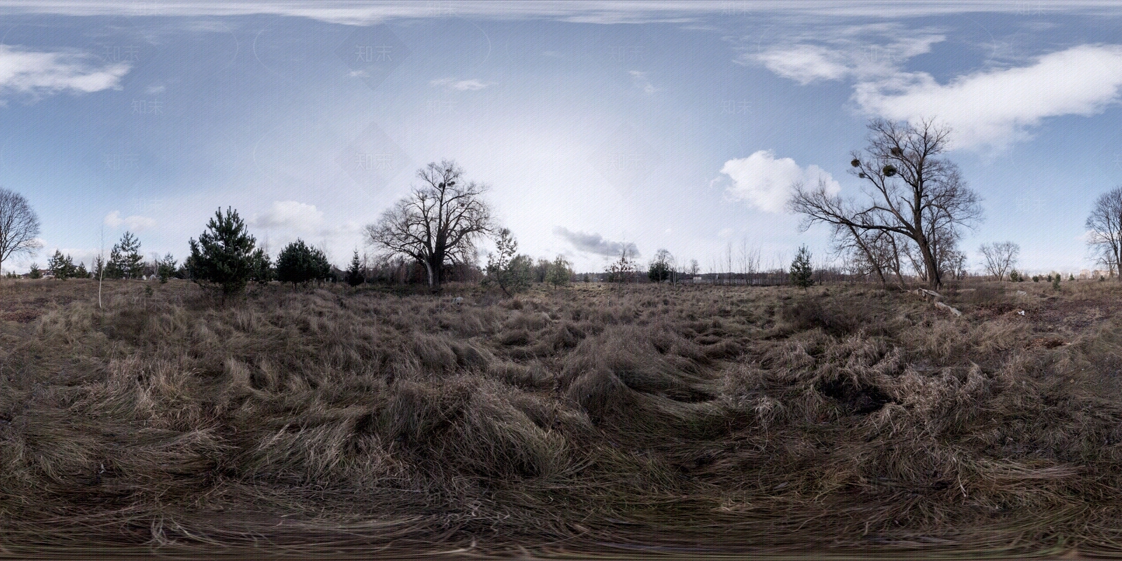 hdr荒野户外全景图贴图下载【ID:1154969816】