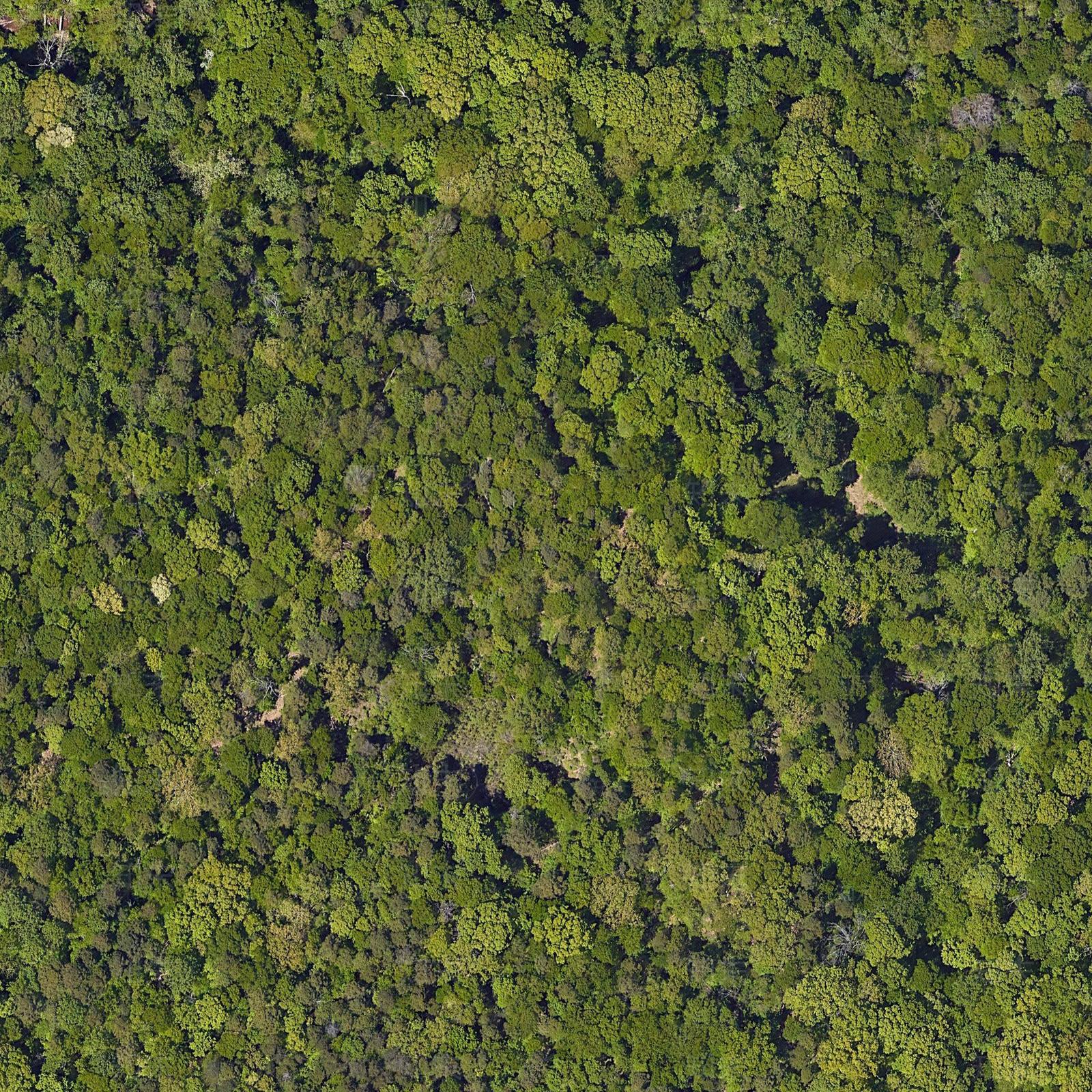 png免抠树群乡村规划鸟瞰图贴图下载【ID:1154978843】