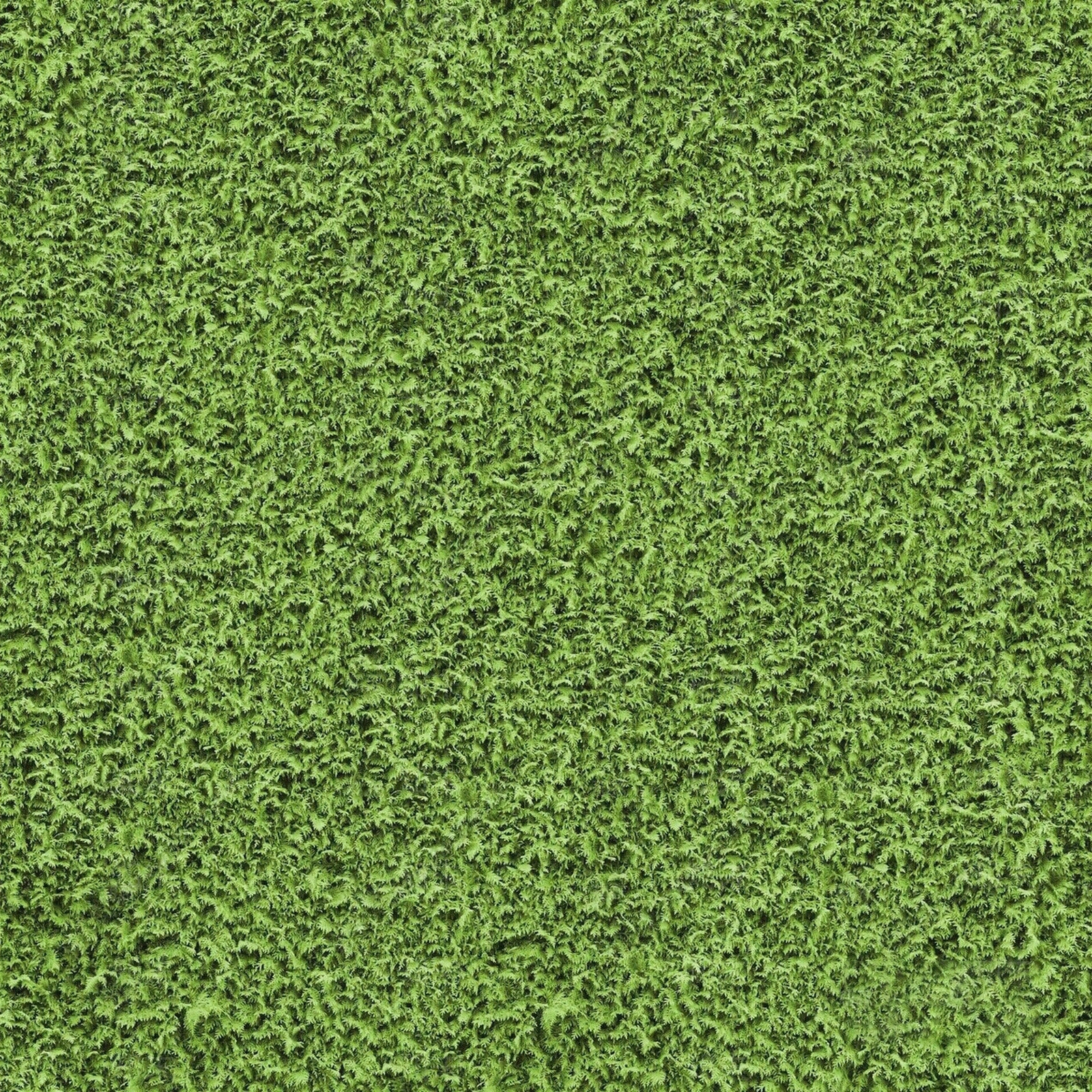 草坪植物平铺贴图下载【ID:1154983172】