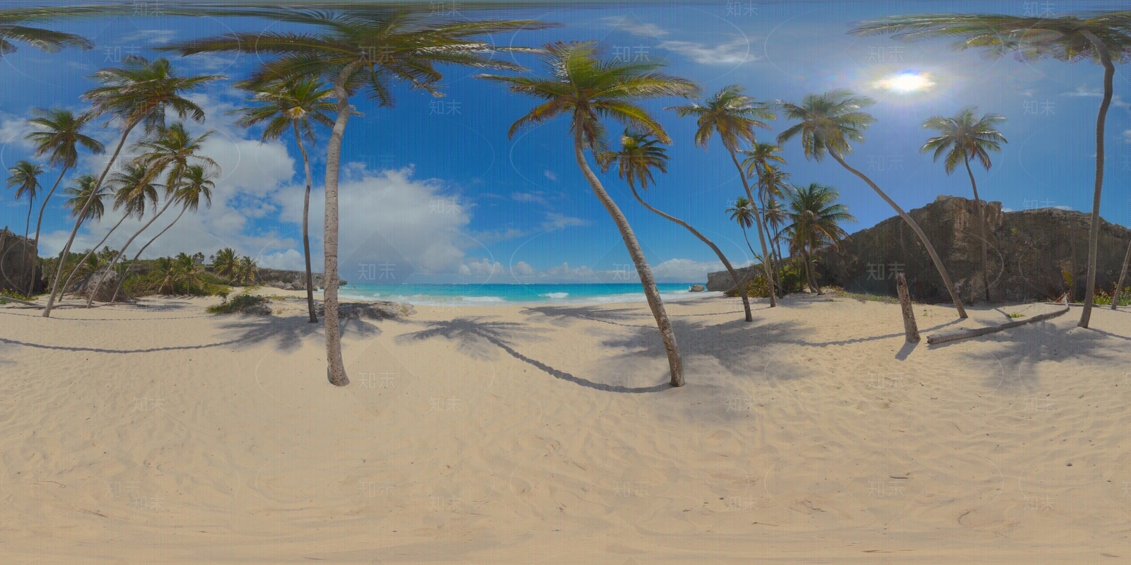 hdr海边沙滩棕榈树自然风景贴图下载【ID:1155291980】