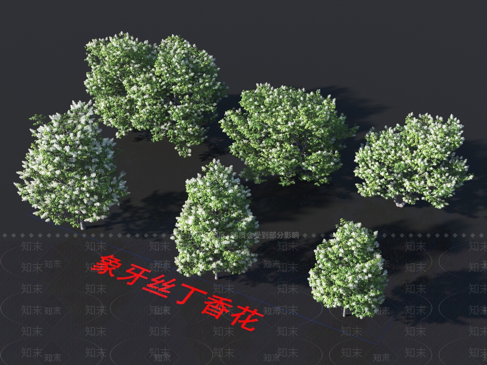 象牙丝丁香花3D模型下载【ID:1155074981】