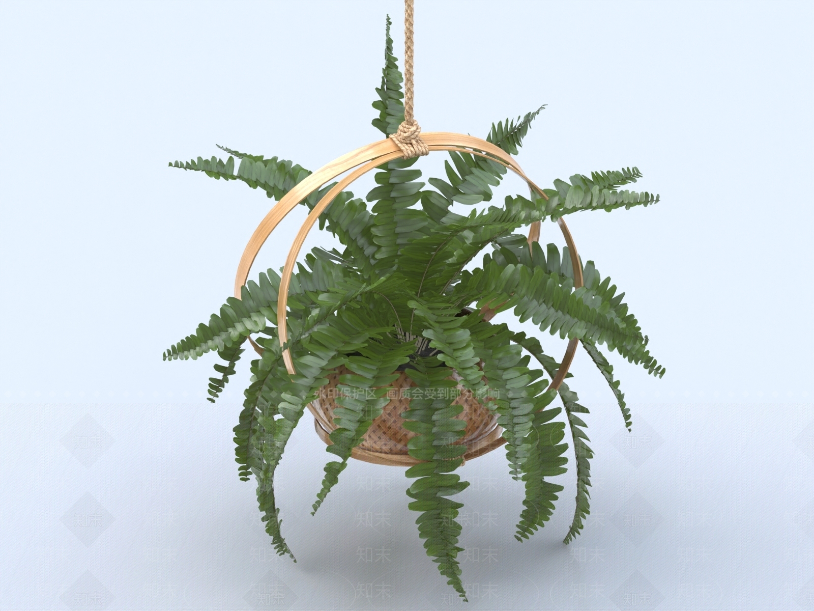 吊兰3D模型下载【ID:1155098601】