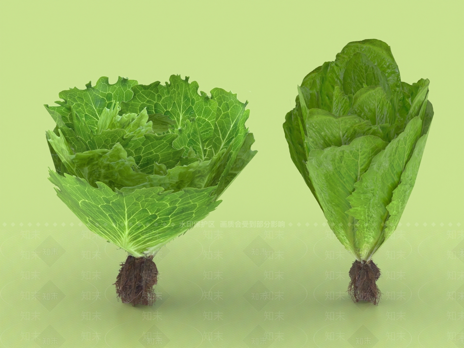 蔬菜3D模型下载【ID:1155100974】