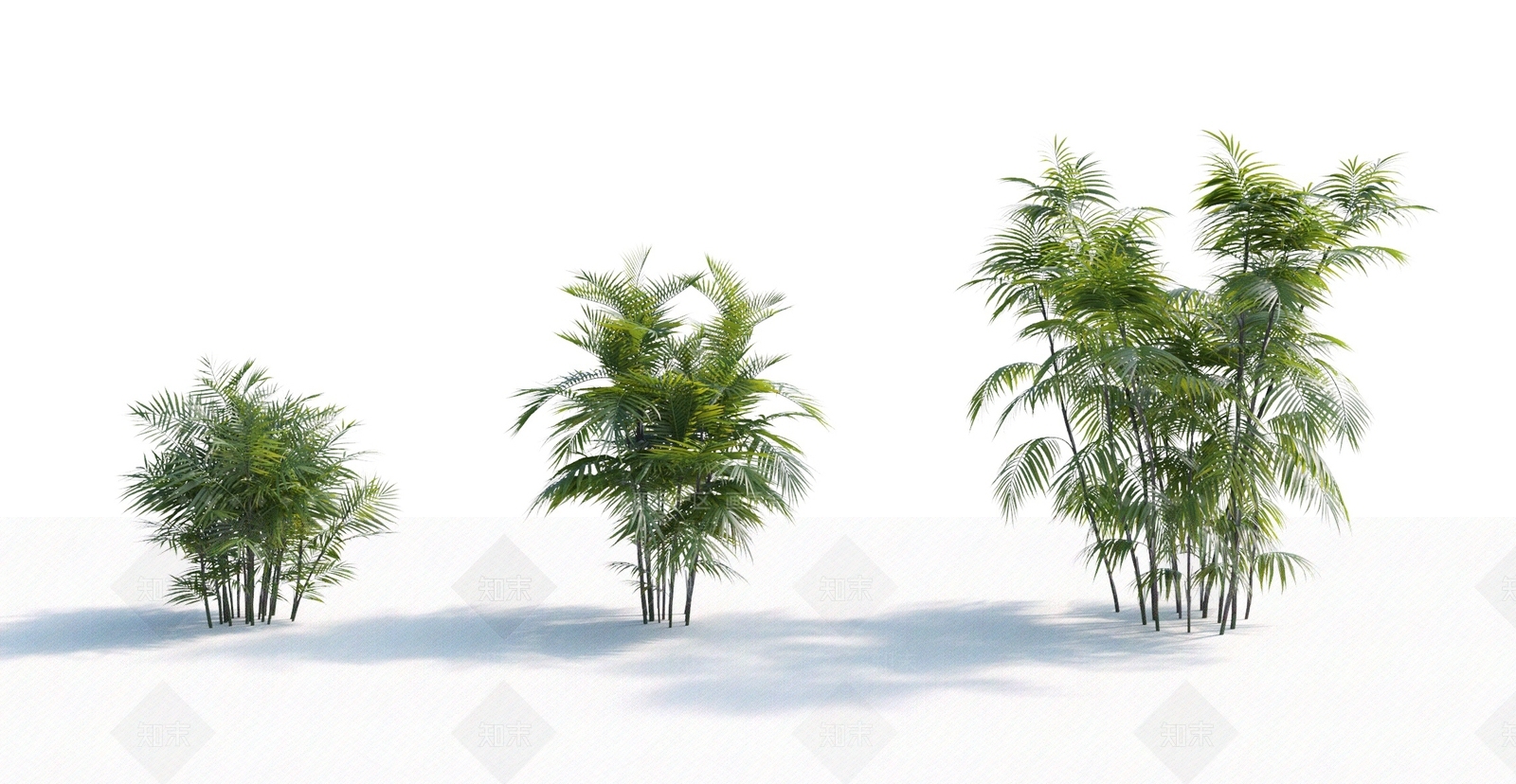乔木3D模型下载【ID:1155332822】