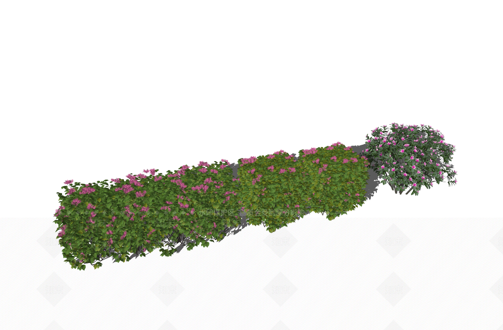 杜鹃SU模型下载【ID:1155193338】