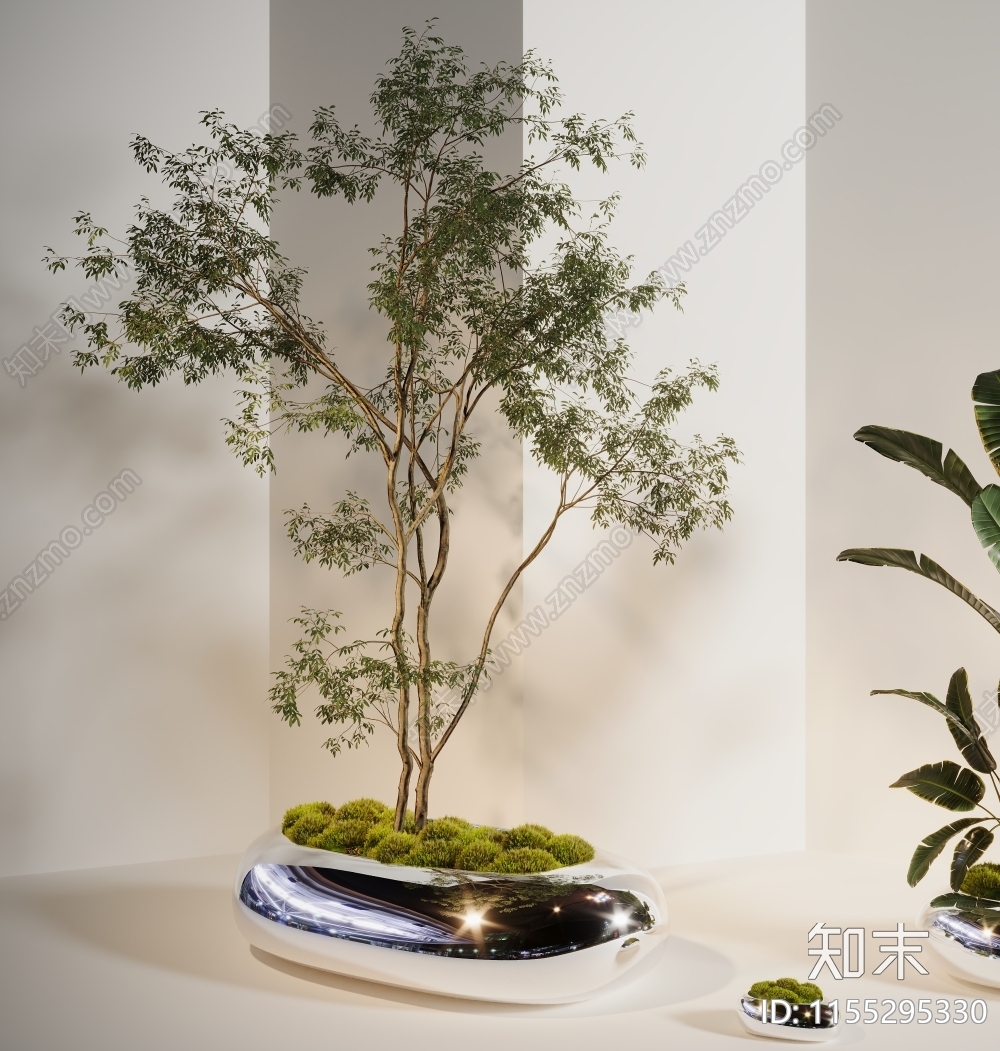 植物盆栽树3D模型下载【ID:1155295330】