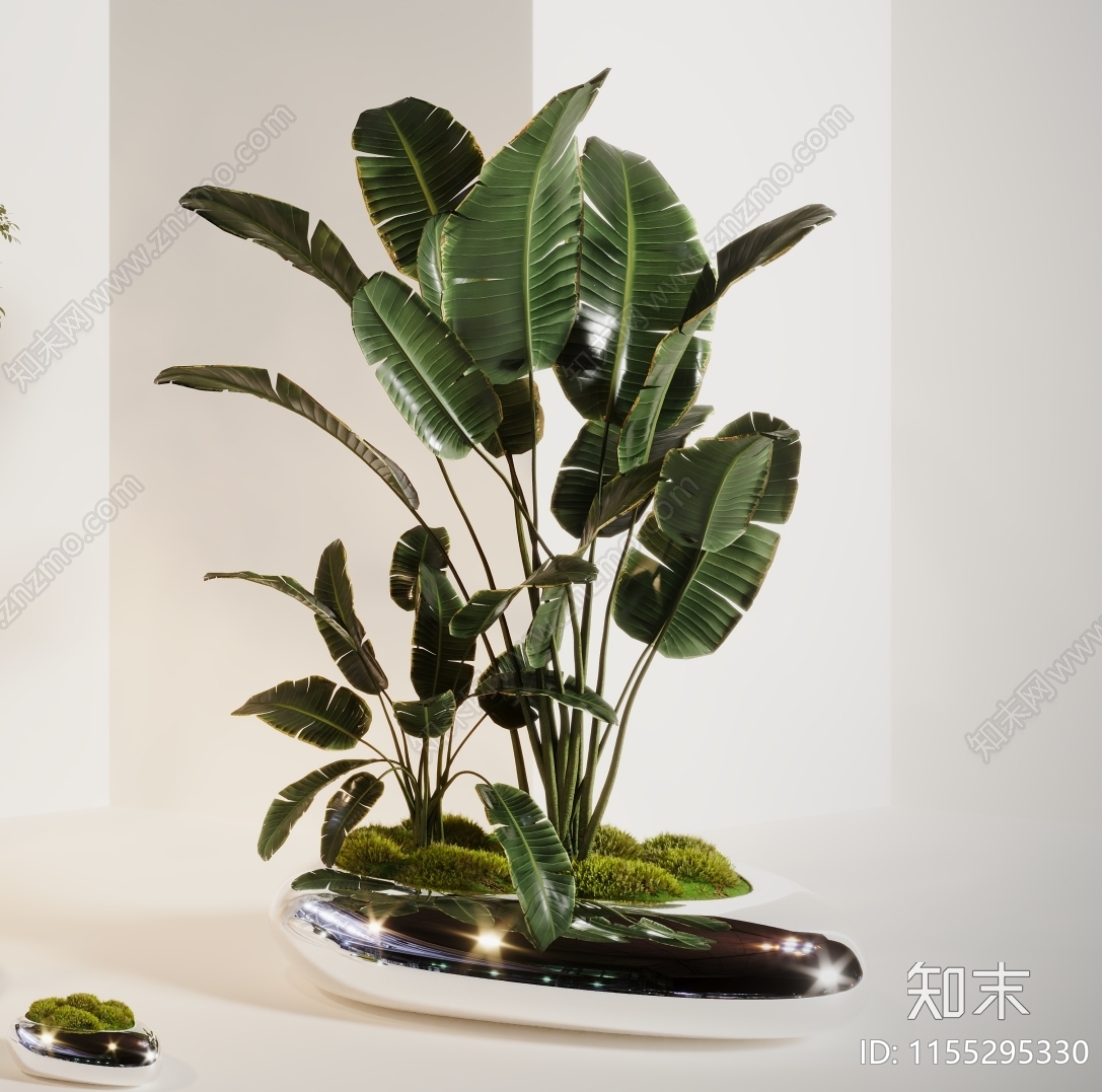 植物盆栽树3D模型下载【ID:1155295330】