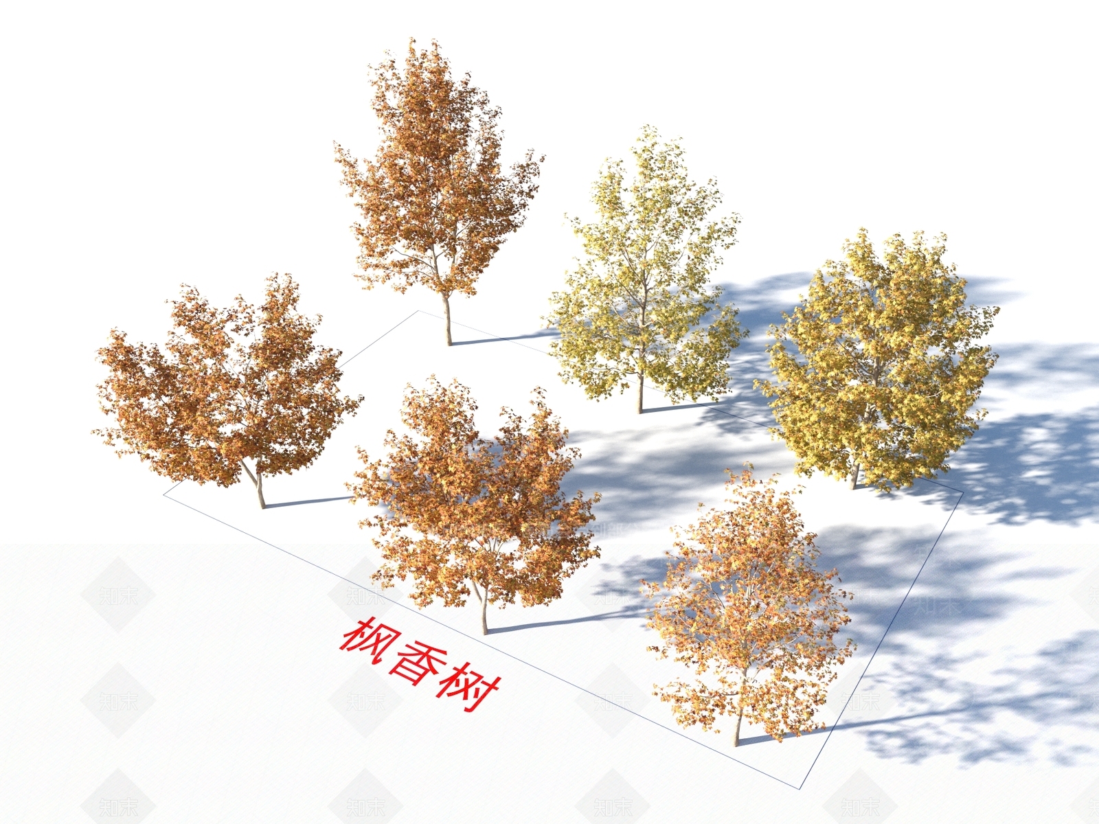 枫香树3D模型下载【ID:1155318695】