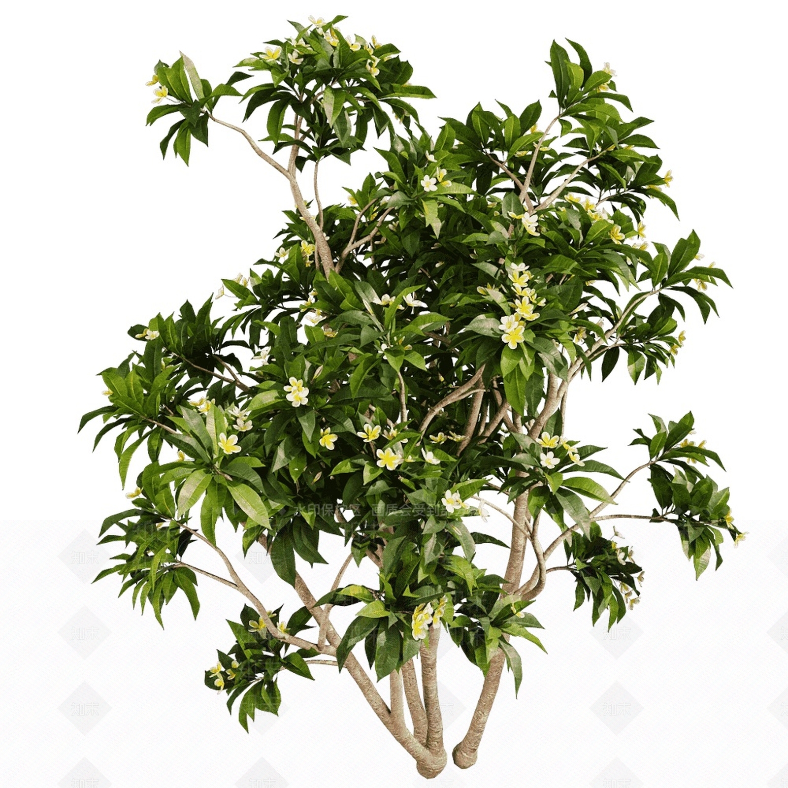 乔木3D模型下载【ID:1155320052】