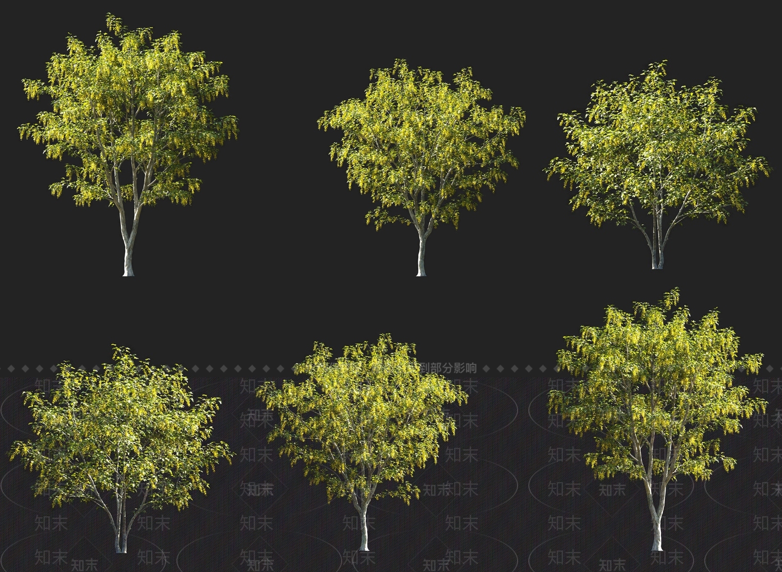 乔木3D模型下载【ID:1155323954】