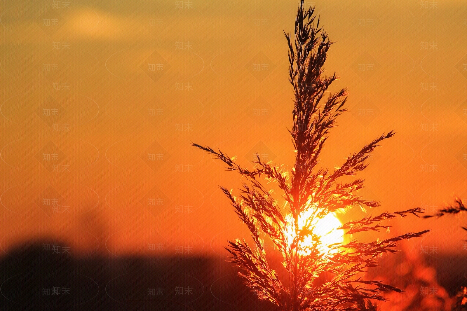 电子屏幕投影幕电视屏幕贴图下载【ID:1155324993】