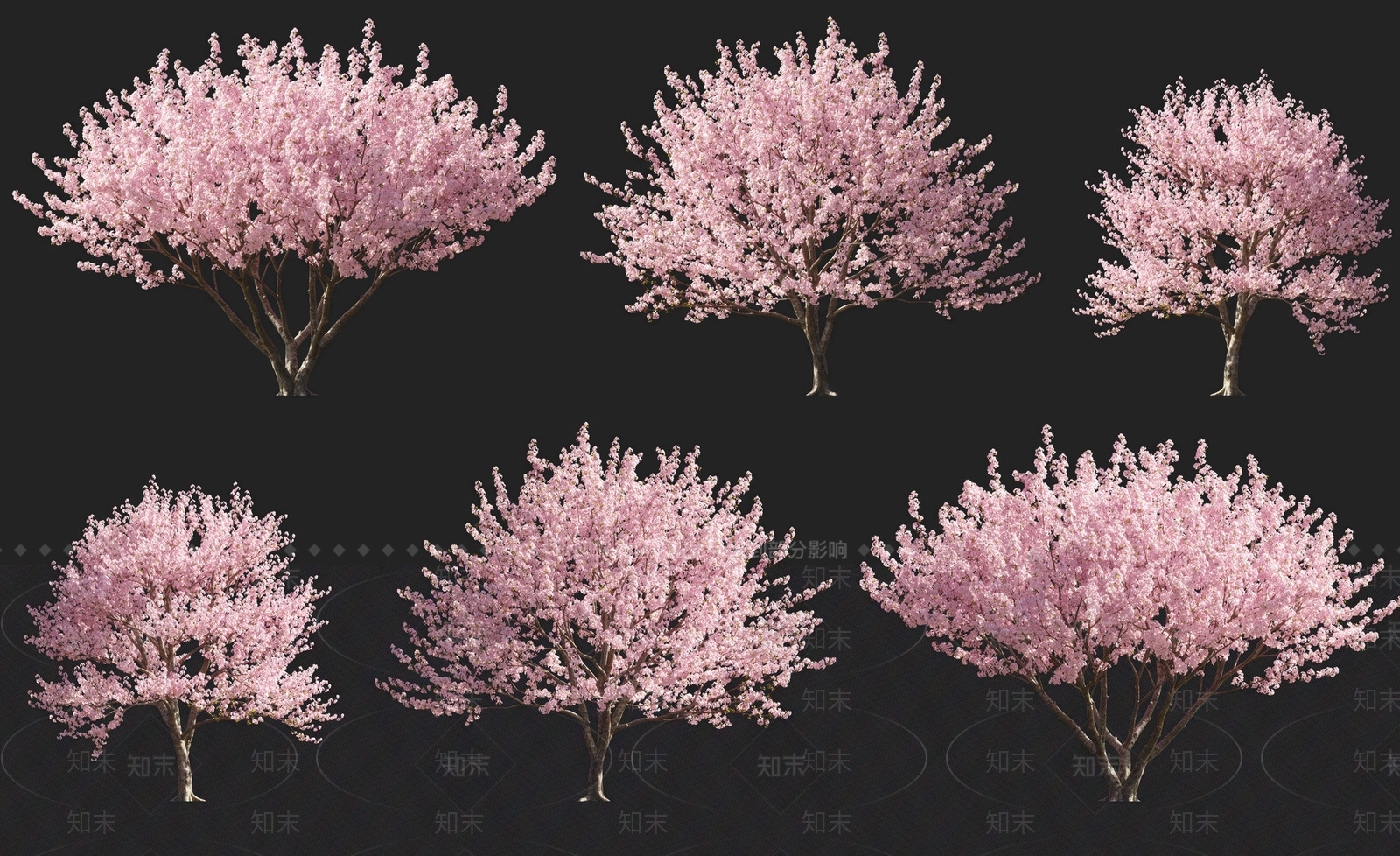 乔木3D模型下载【ID:1155325367】