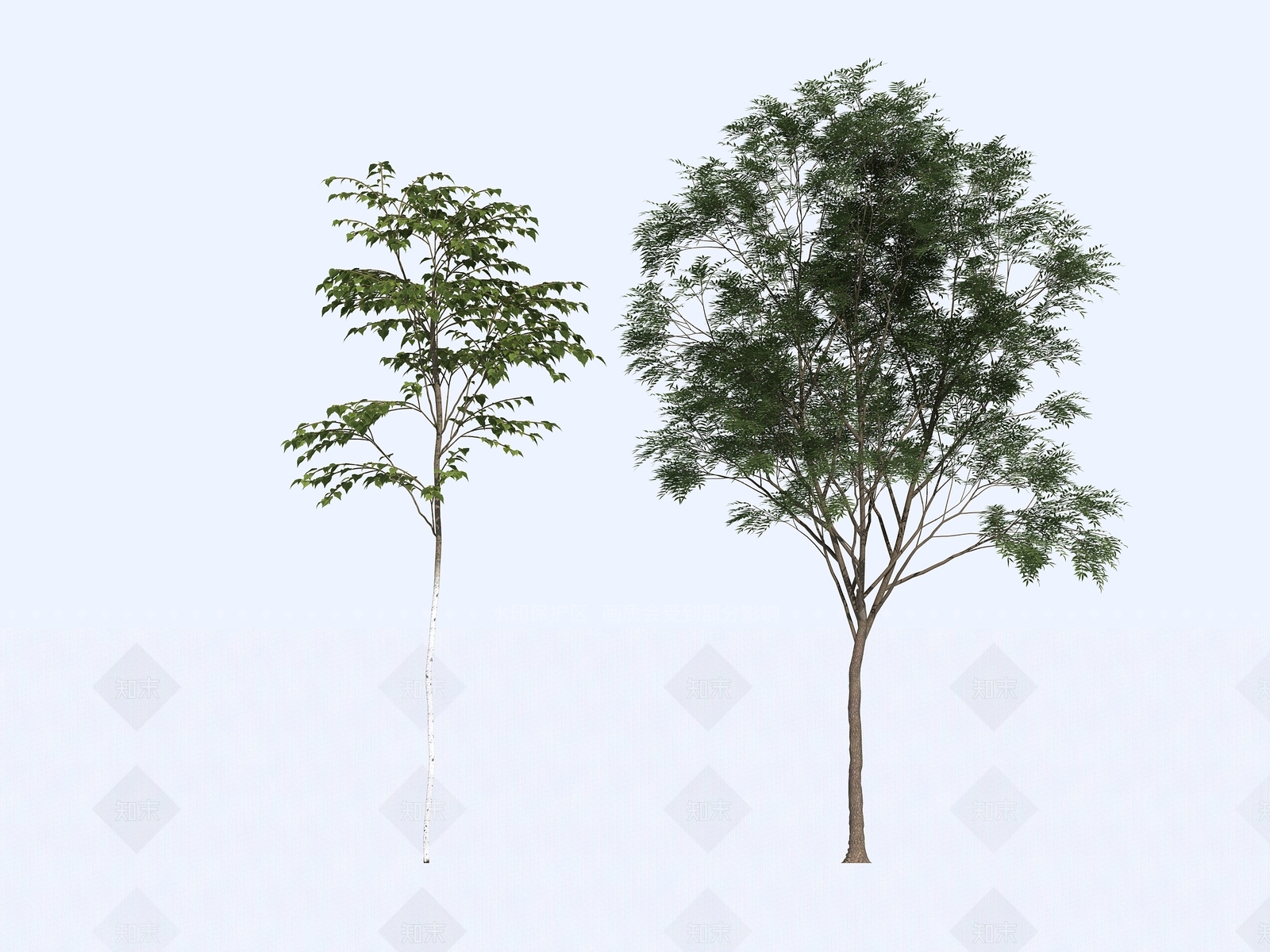 乔木3D模型下载【ID:1155341962】