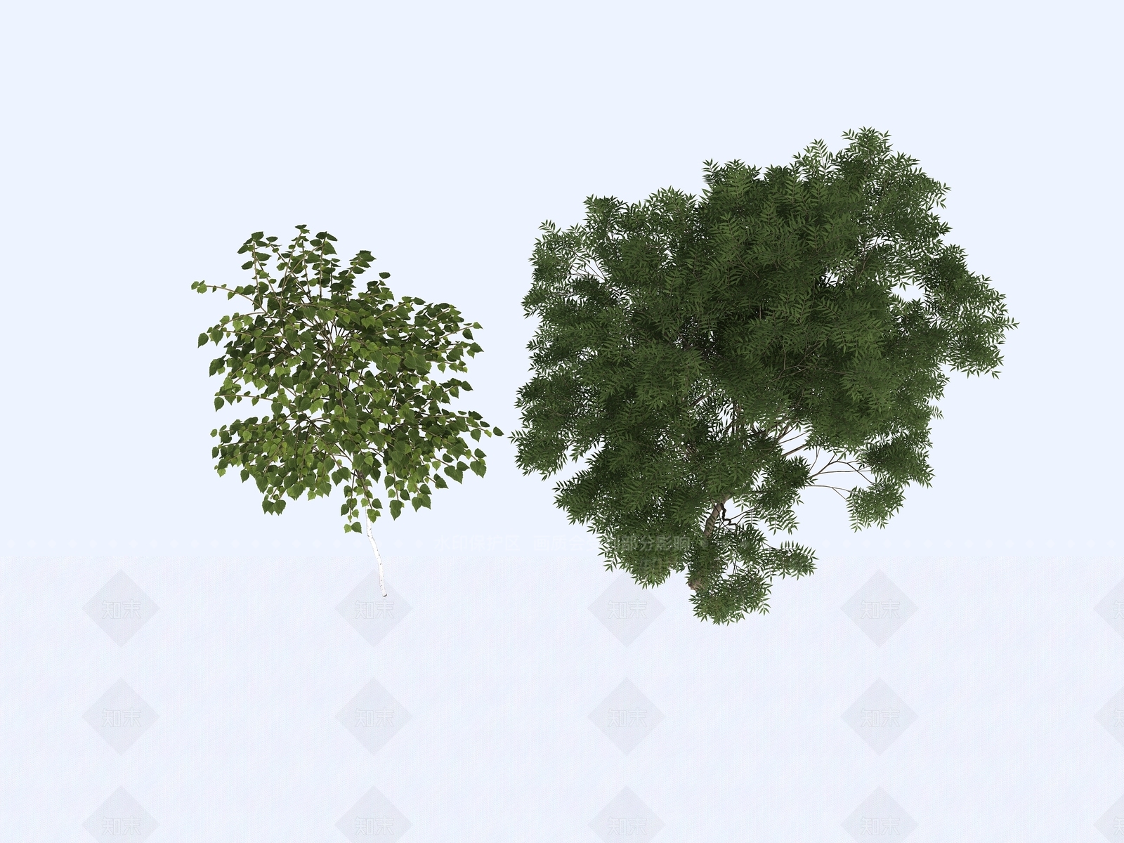 乔木3D模型下载【ID:1155341962】