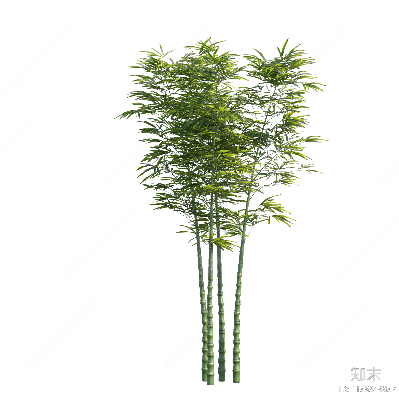 png免抠植物竹子贴图下载【ID:1155344357】_【知末网贴图库】