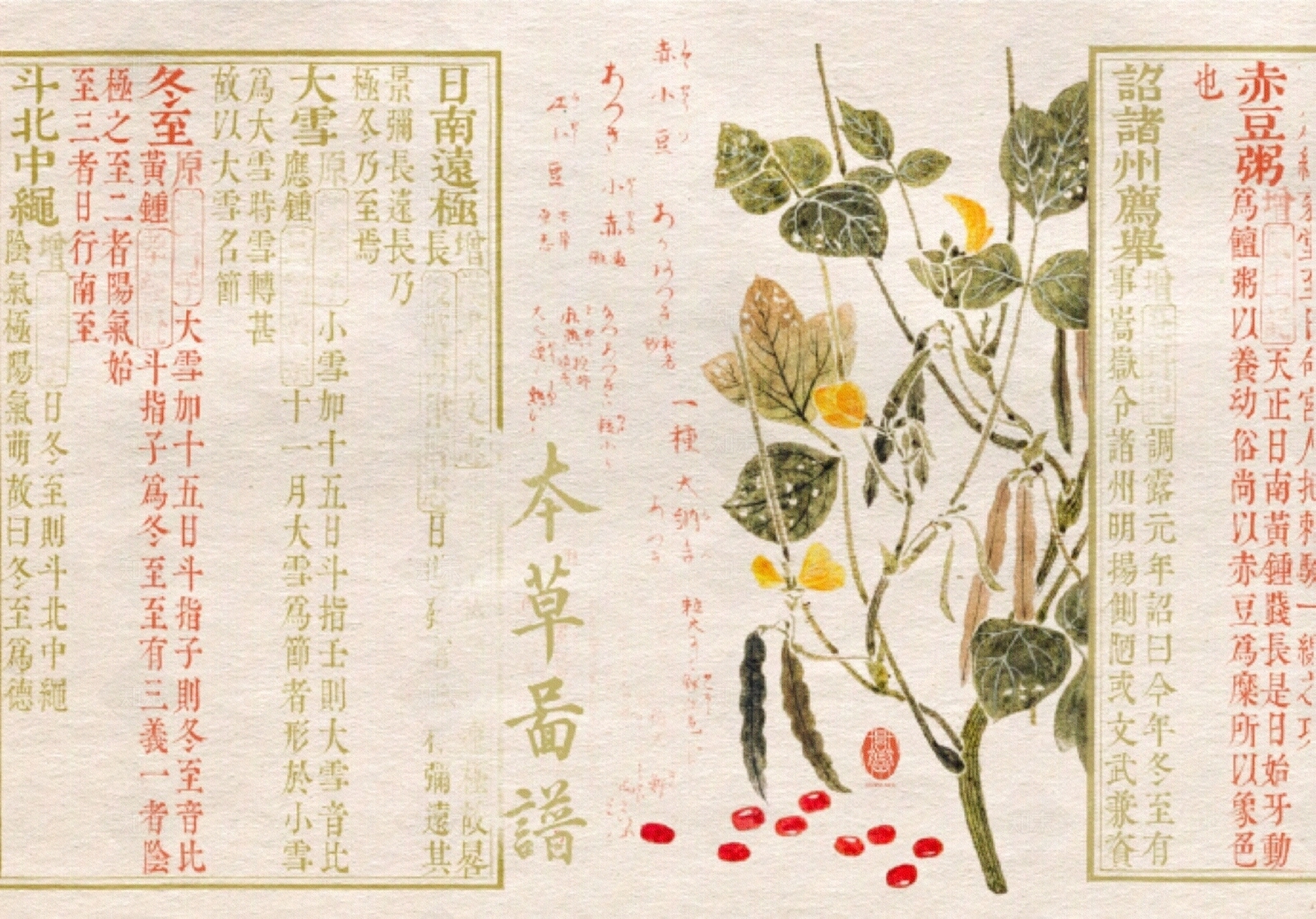 花鸟壁纸高清贴图材质