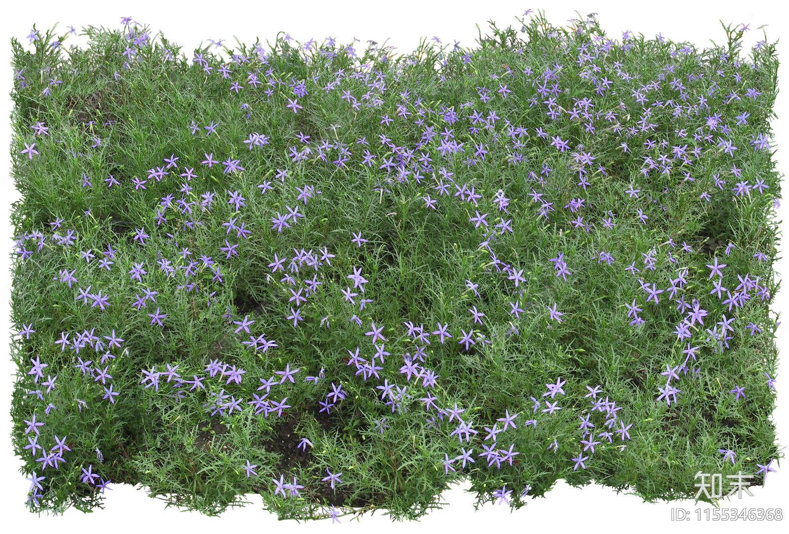 png免抠植物花丛