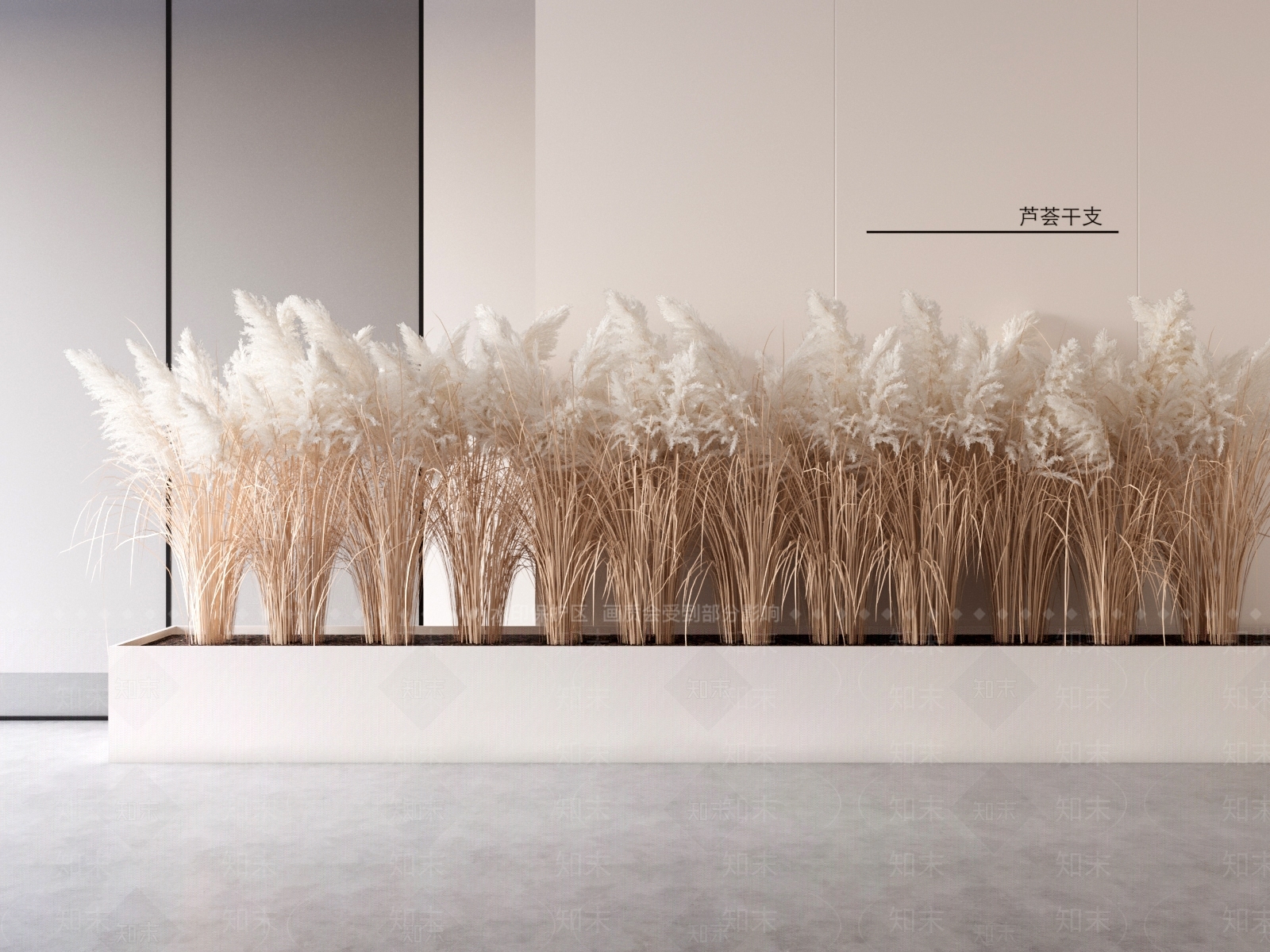 芦苇干花SU模型下载【ID:1155371988】