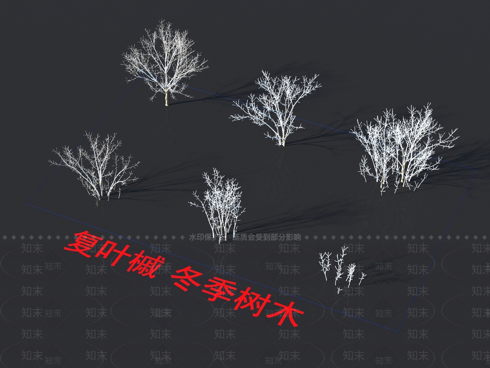 复叶槭3D模型下载【ID:1155393640】