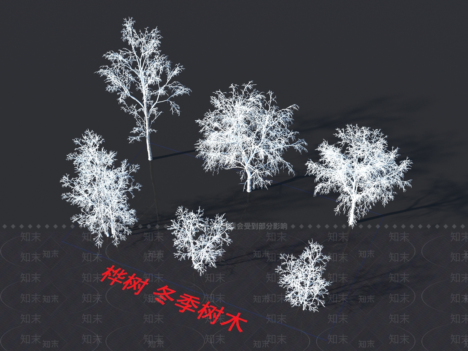 桦树3D模型下载【ID:1155397154】