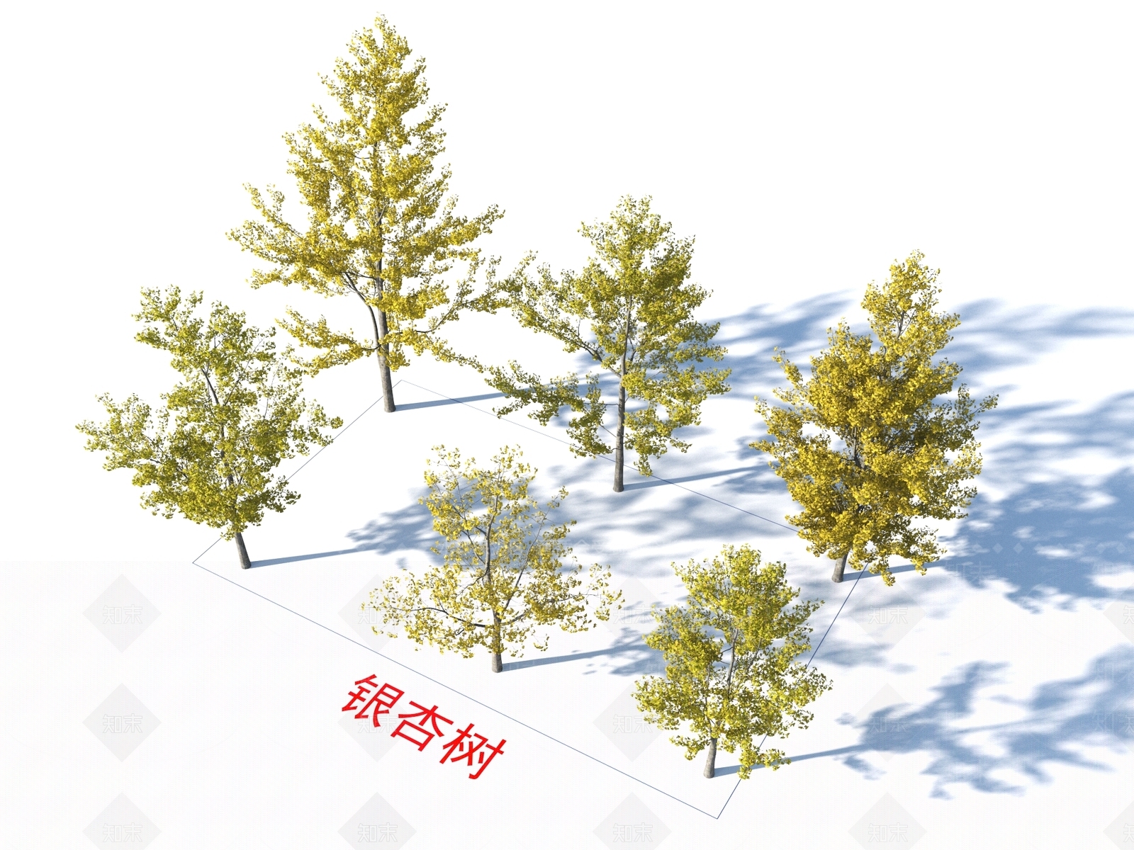 银杏树3D模型下载【ID:1155402771】