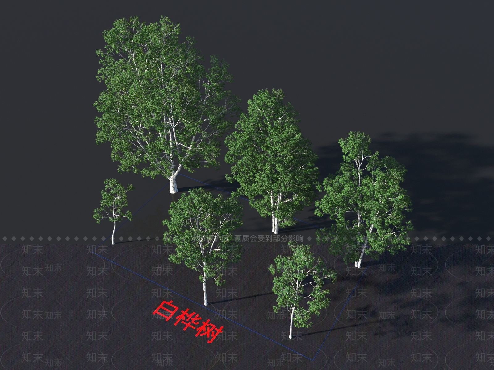 白桦树3D模型下载【ID:1155405523】