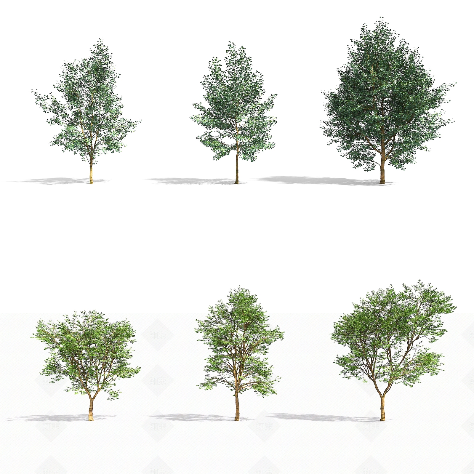 乔木3D模型下载【ID:1155464450】
