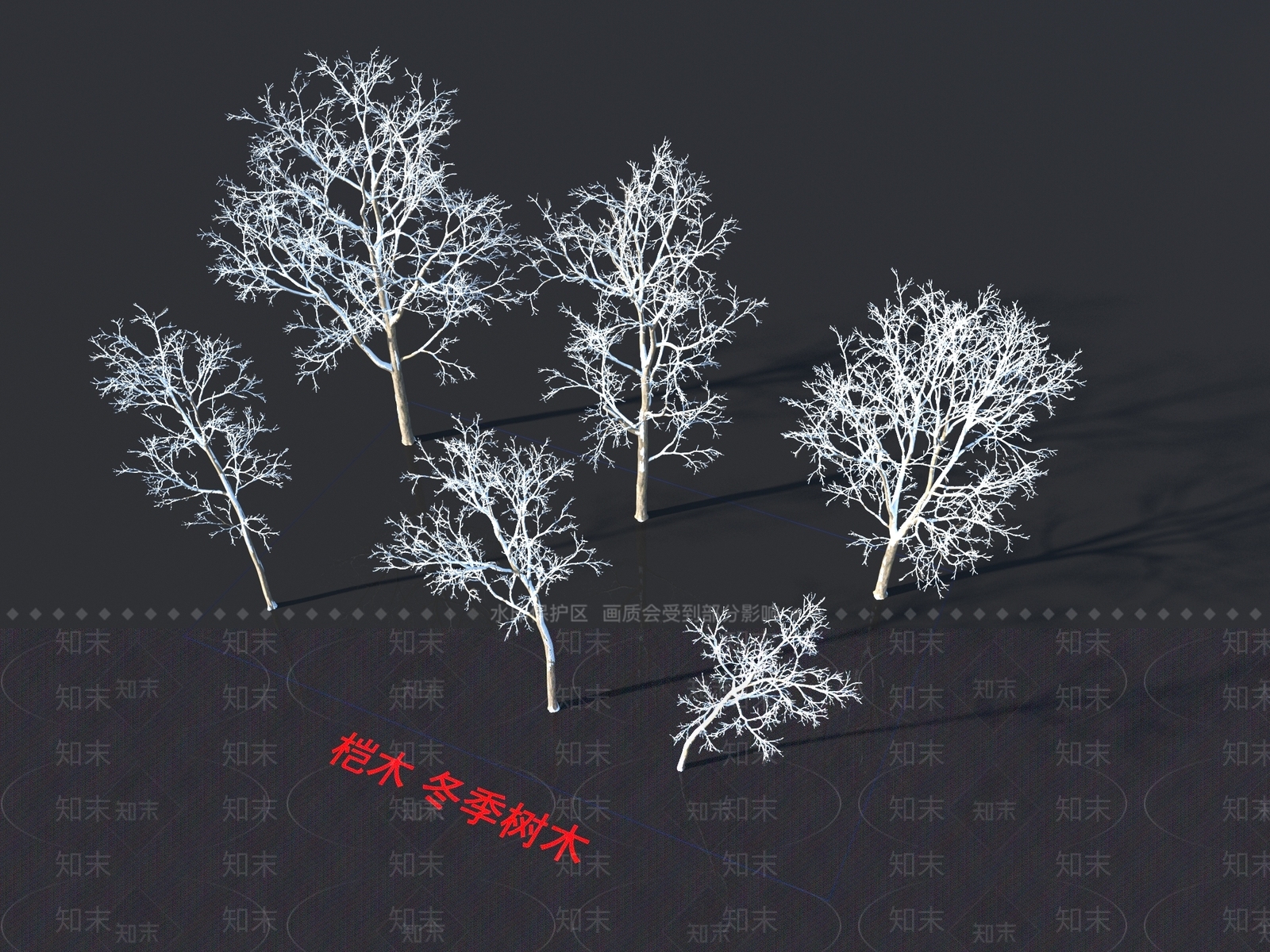 桤木3D模型下载【ID:1155495017】