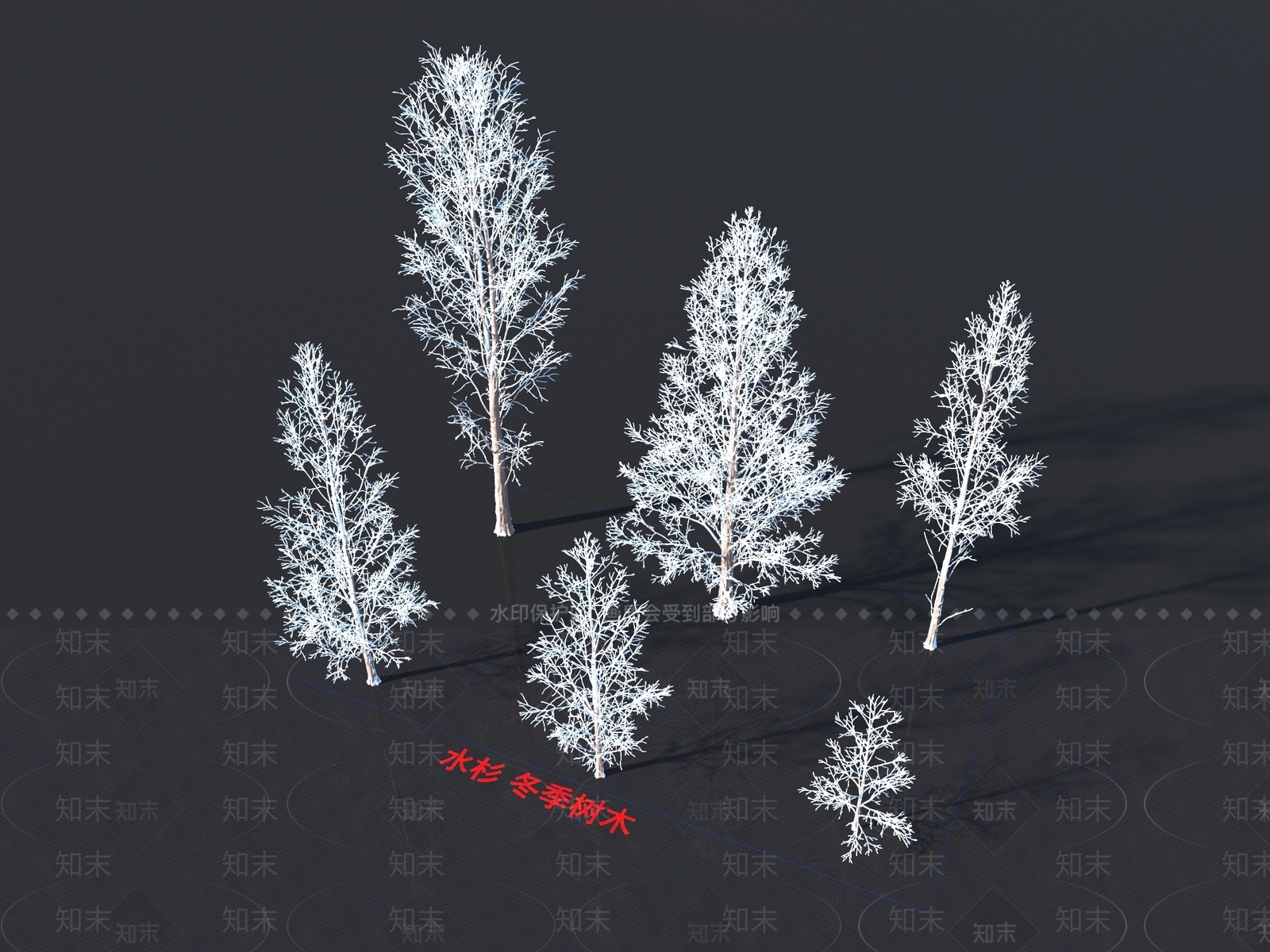 水杉3D模型下载【ID:1155501088】