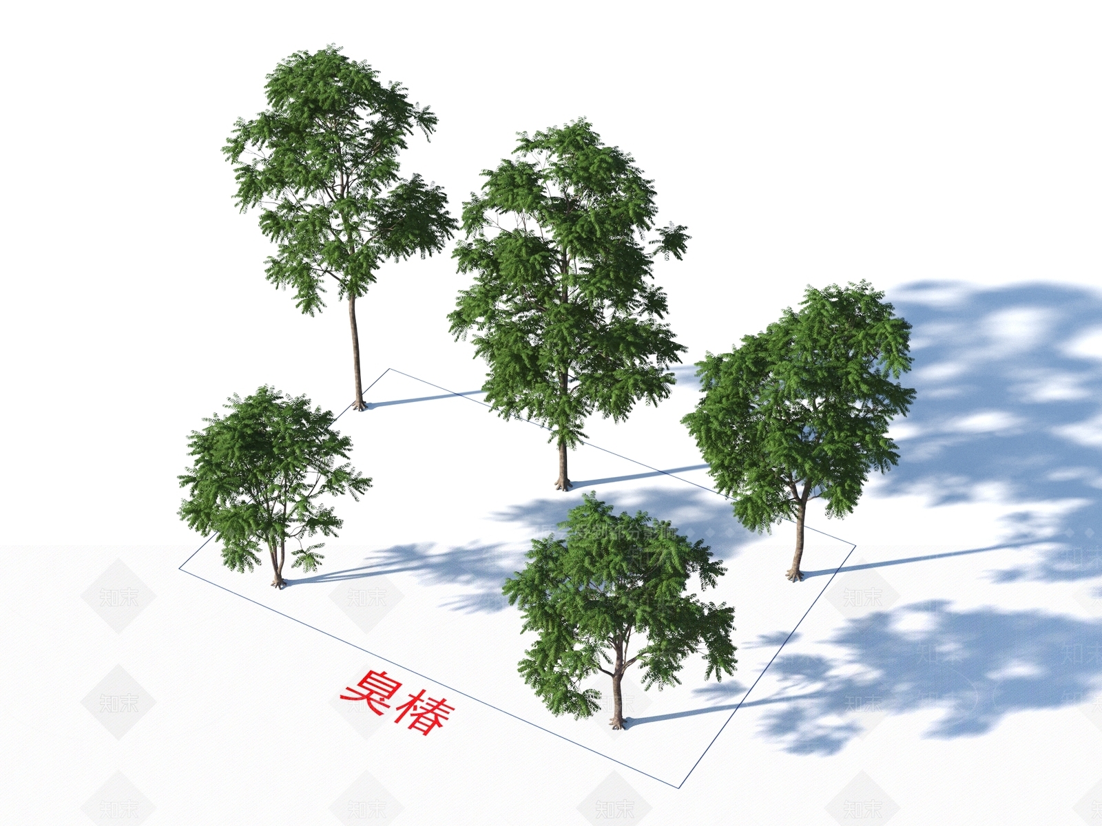 臭椿树3D模型下载【ID:1155522722】