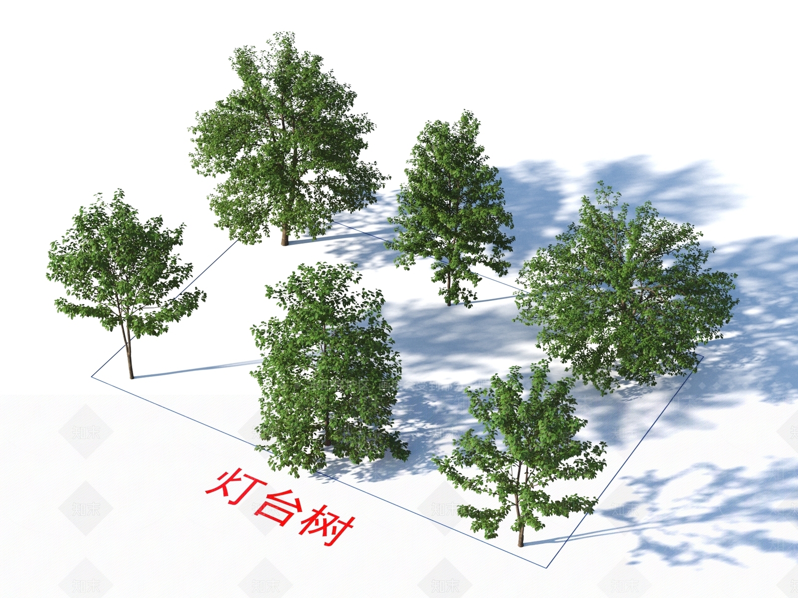 灯台树3D模型下载【ID:1155526697】
