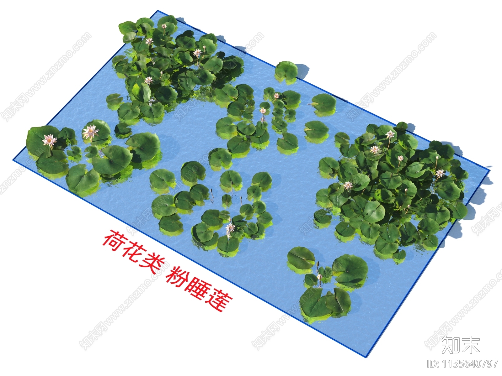 荷花类3D模型下载【ID:1155640797】