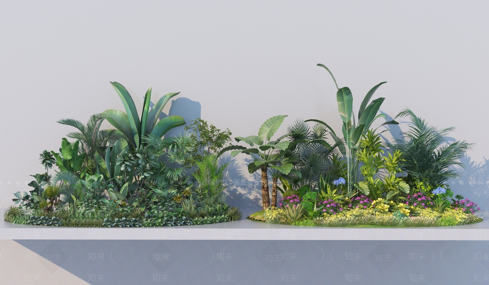 热带植物3D模型下载【ID:1155641630】