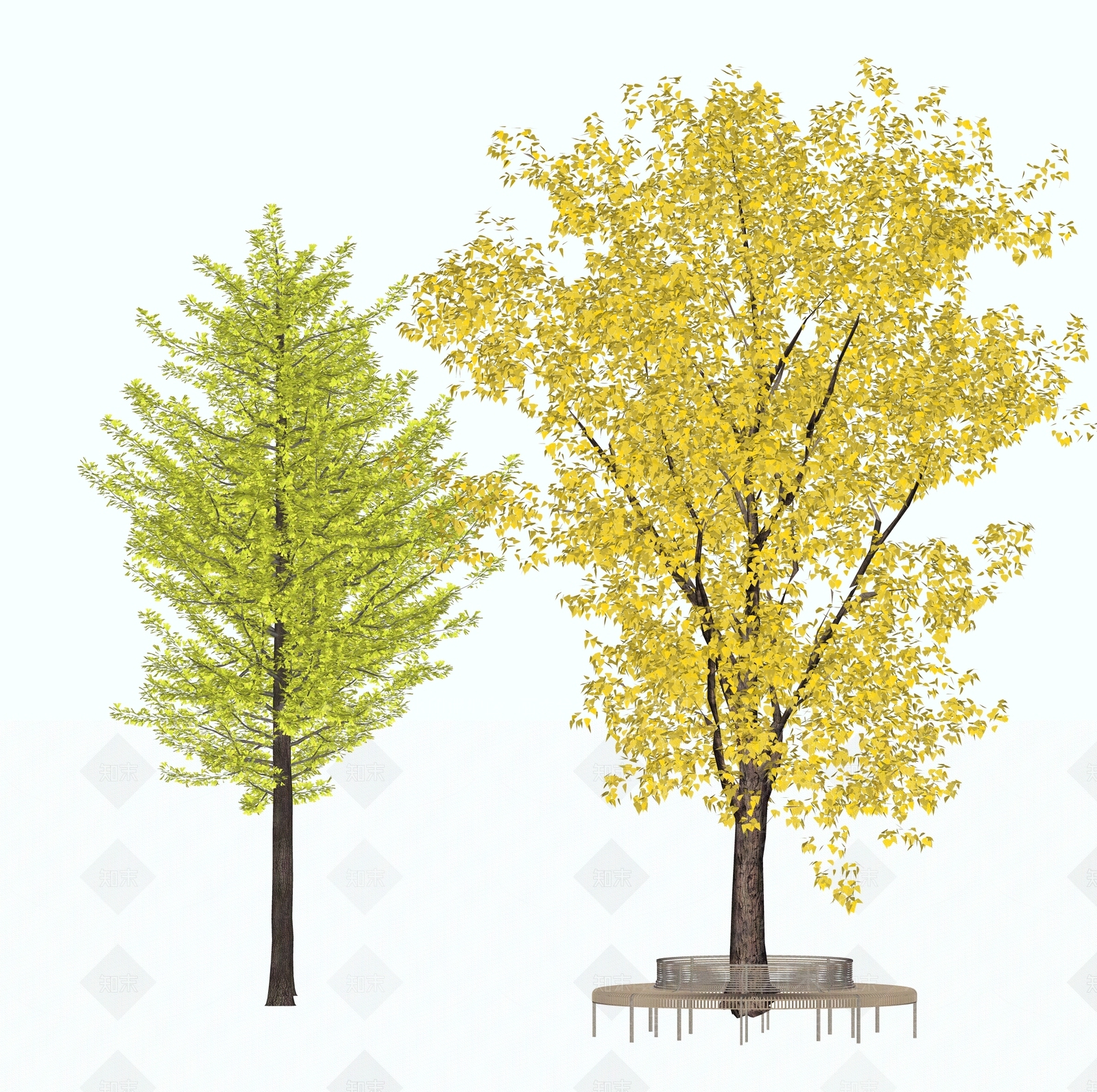 2D银杏树SU模型下载【ID:1155656840】