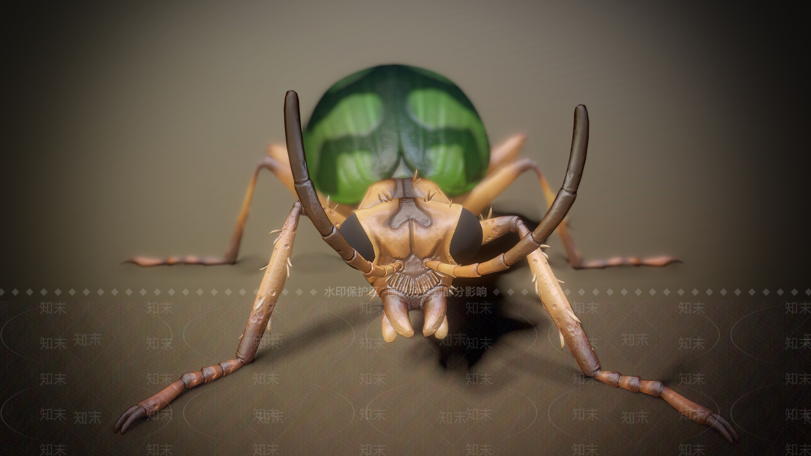 甲壳虫3D模型下载【ID:1155696923】