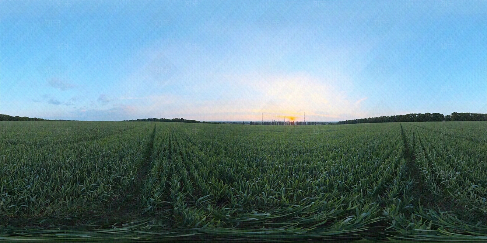 HDR草地植物种植贴图下载【ID:1155721187】