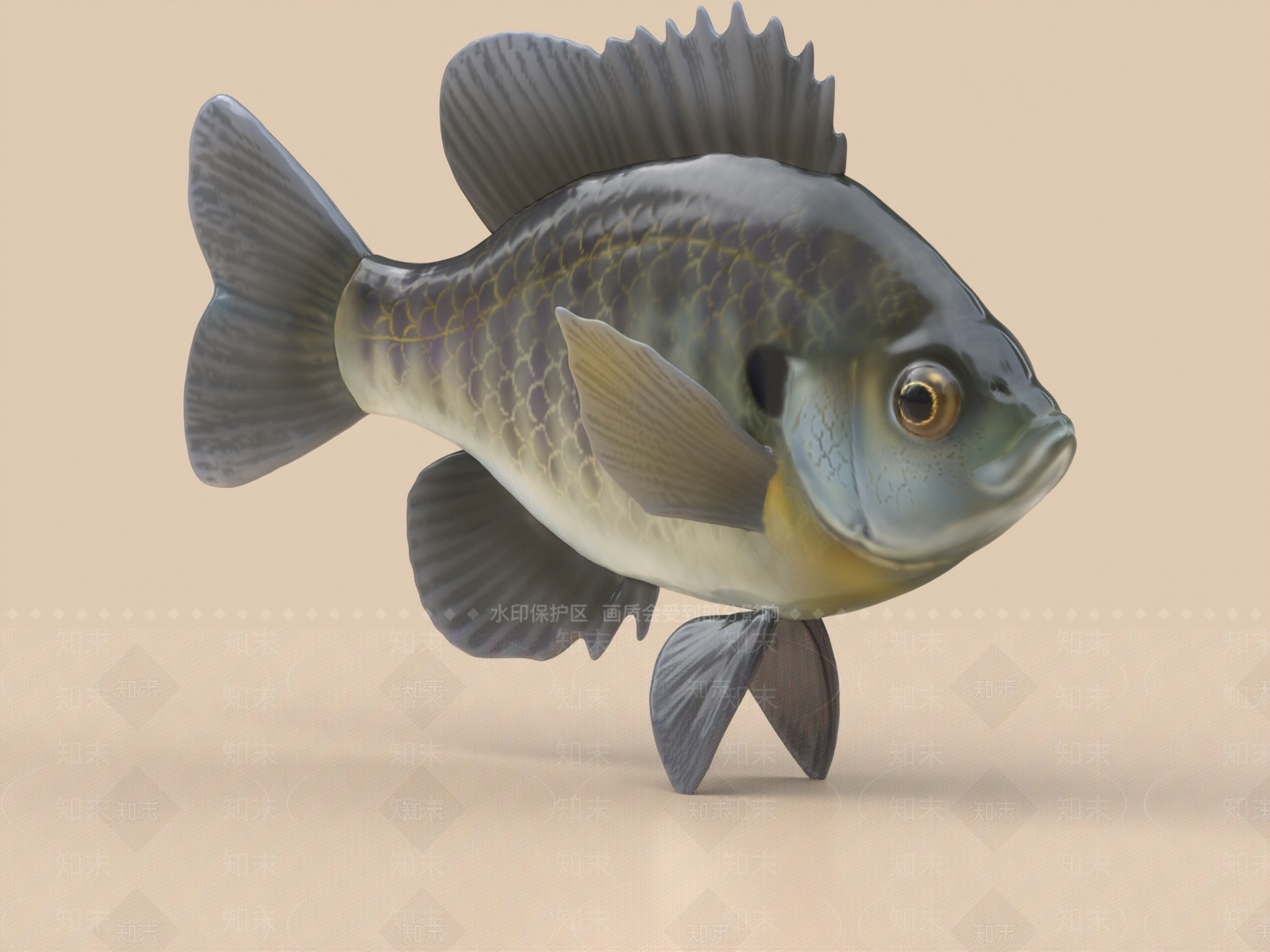 太阳鱼3D模型下载【ID:1155743600】