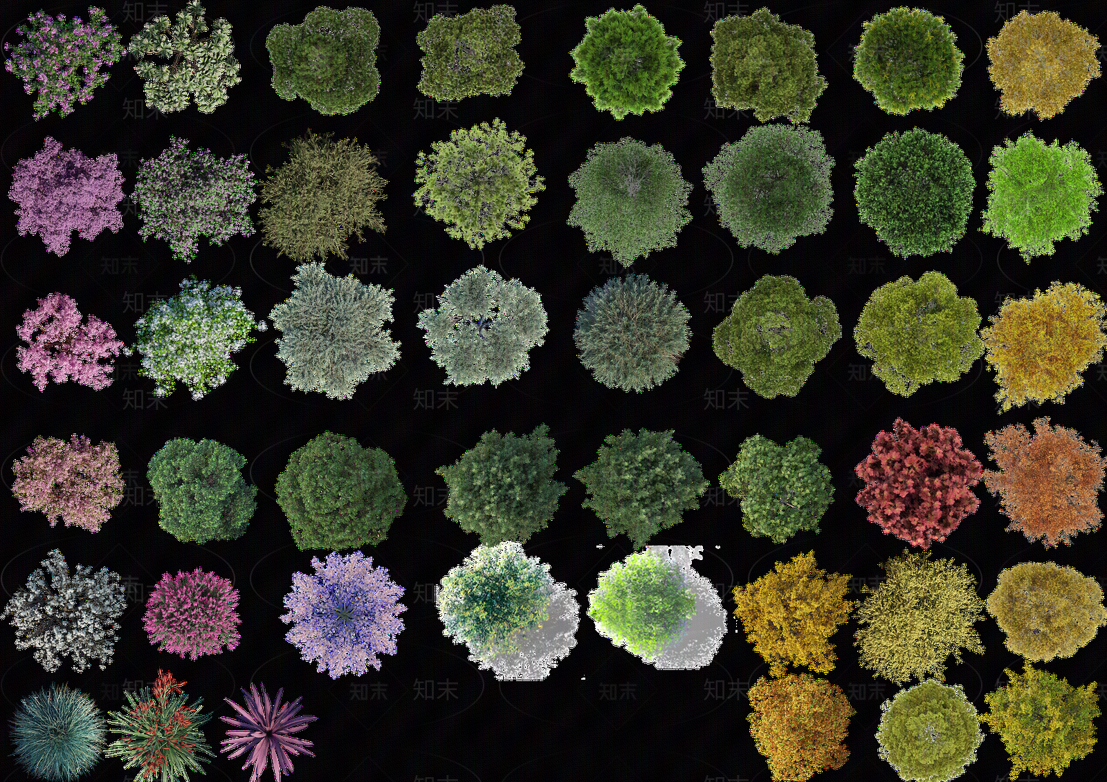 png免抠竞赛风写实植物平面素材贴图下载【ID:1155794829】