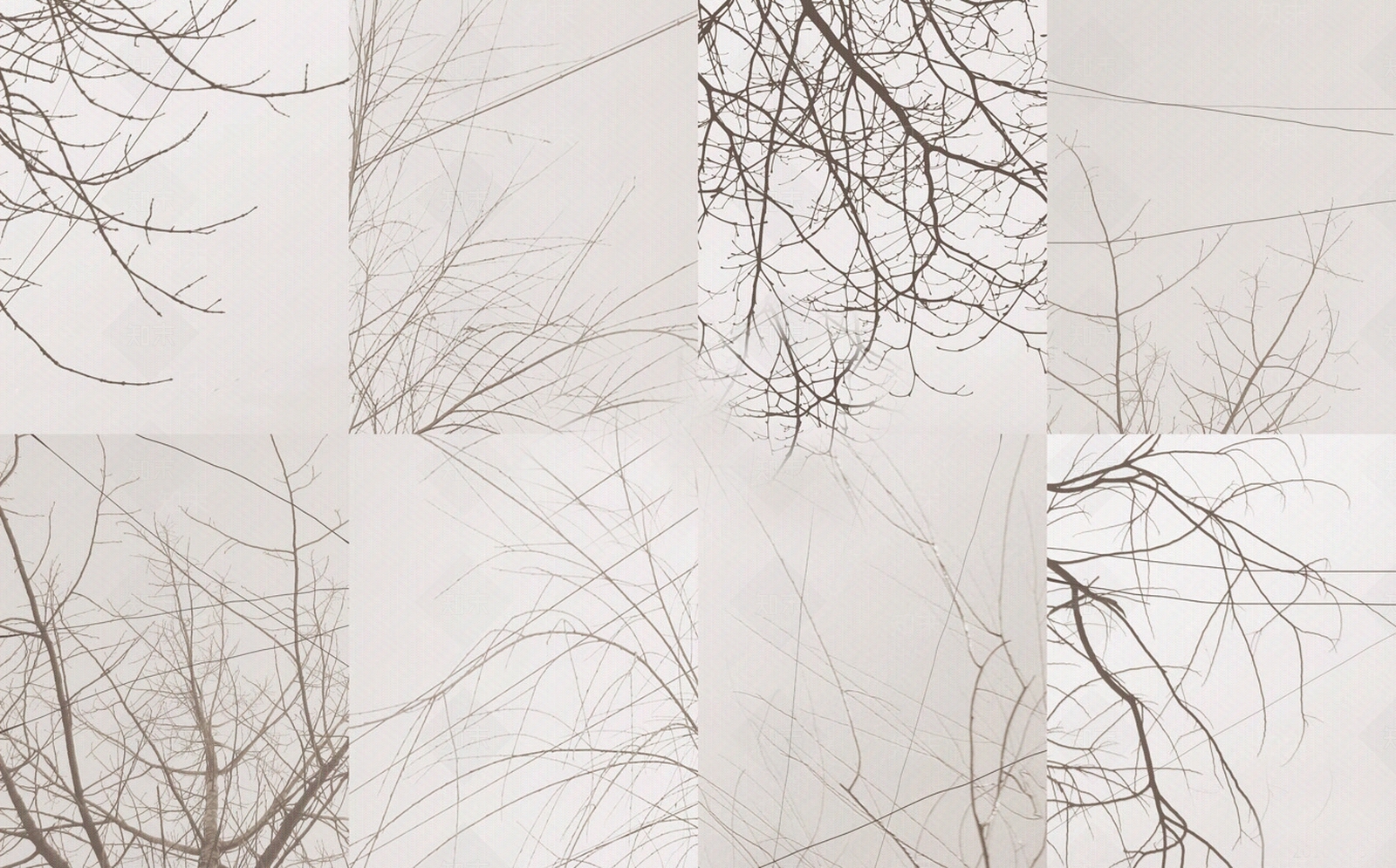 树枝壁布硬包贴图下载【ID:1155904593】