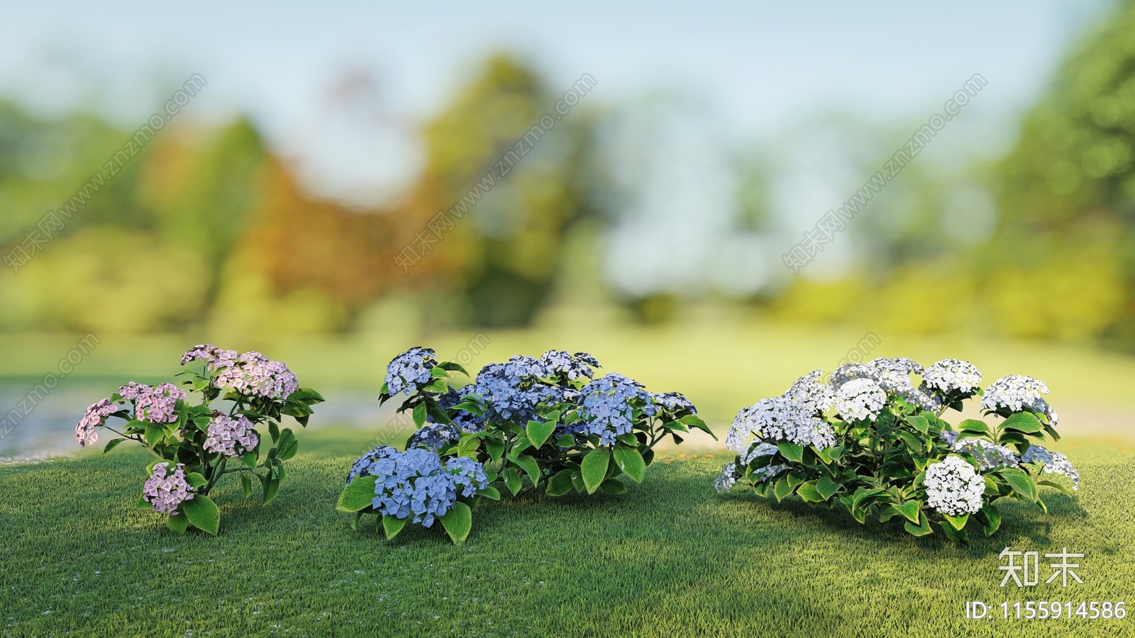 绣球花SU模型下载【ID:1155914586】