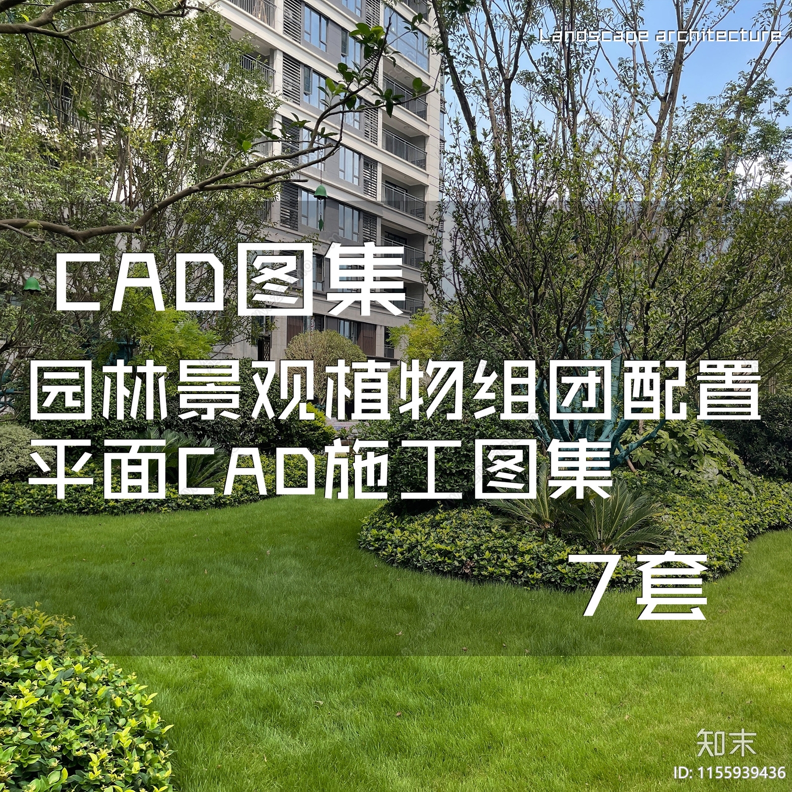 园林景观植物组团配置平面CA施工图下载【ID:1155939436】