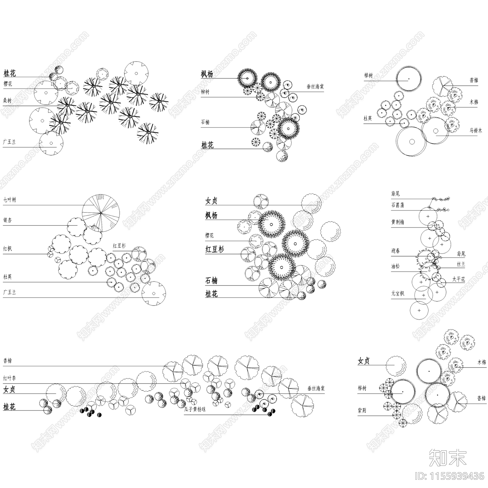 园林景观植物组团配置平面CA施工图下载【ID:1155939436】