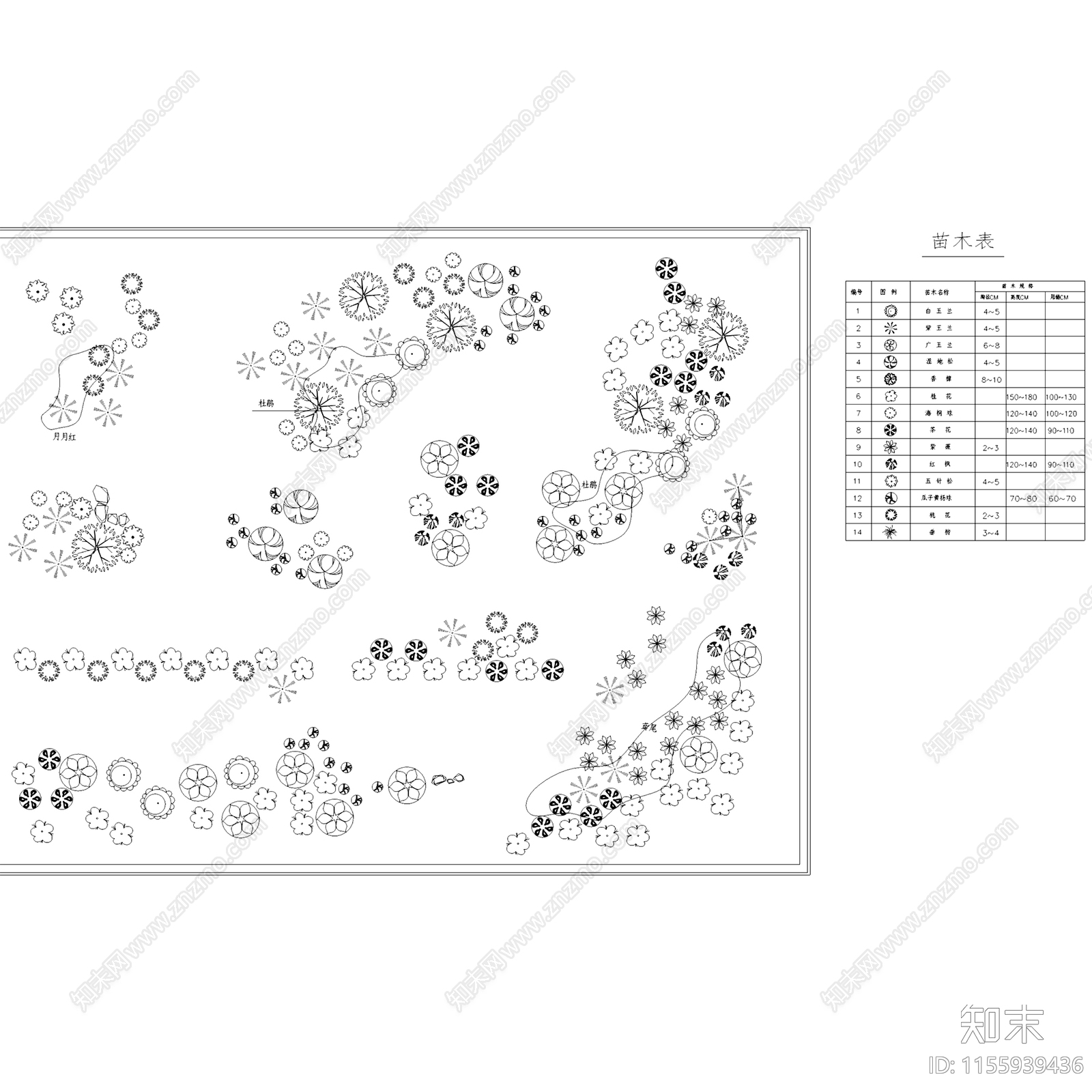 园林景观植物组团配置平面CA施工图下载【ID:1155939436】